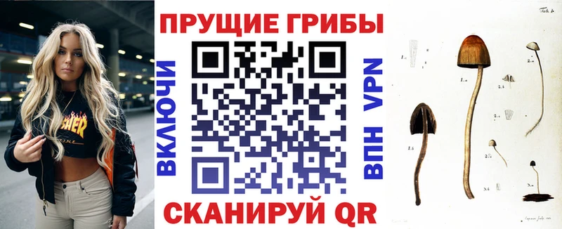 цена наркотик  Болгар  Псилоцибиновые грибы Magic Shrooms 